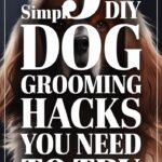Best DIY Dog Grooming Tips