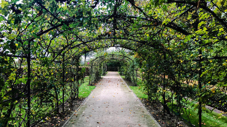 Pergola vs Trellis, Arbor and Gazebo | Azenco Outdoor