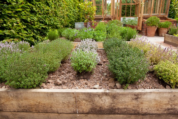How to Create a Herb Garden | BBC Gardeners World Magazine