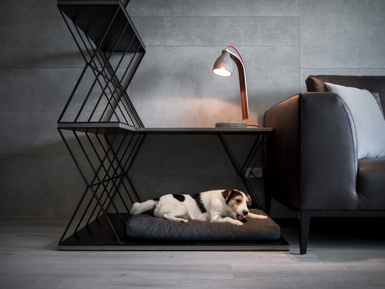 Designing Comfortable and Playful Spaces For Life With a Pet: 31 ...