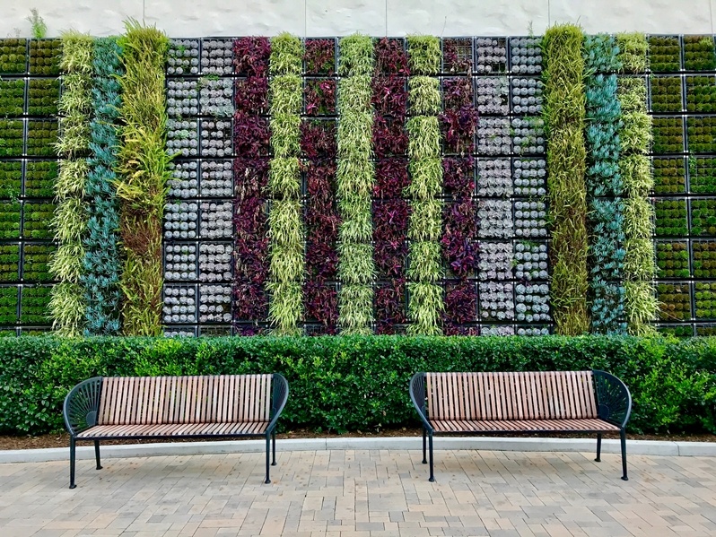 How to install a vertical garden | Calathology