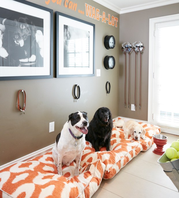 Stylish decor and pets can coexist in your home. Here\