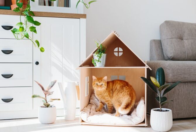 9 Tips for Designing Barkitecture for Your Pet | Extra Space Storage