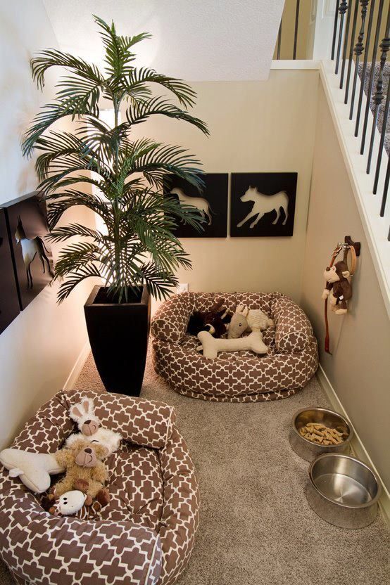 Pet Friendly Homes: Best House Designs for Dogs, Cats & More