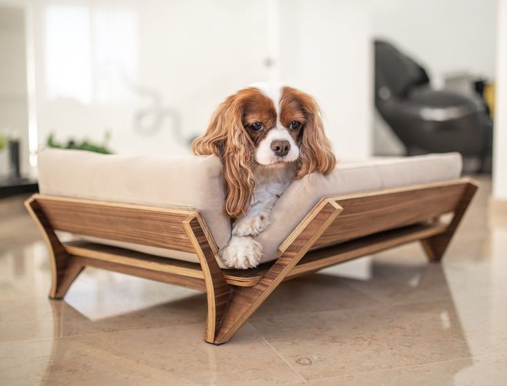 Puppy Dog Bed, Nordic Japandi Style Pet Bed, Small Dog Couch ...