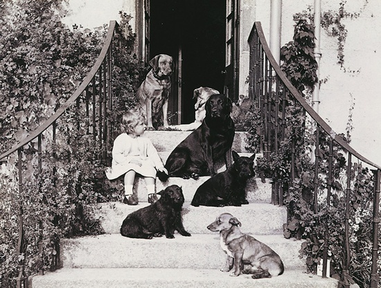 Royal dogs of the past