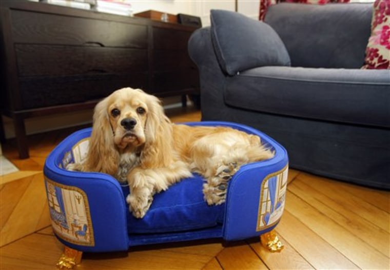 Ruff life: Paris label sells $14K dog bowl, $17K dog bed