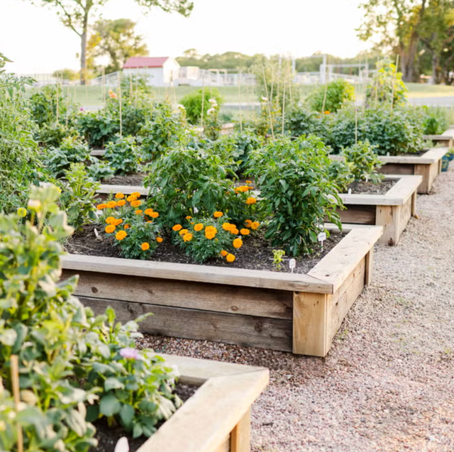 25 Best Large Garden Ideas to Fill Your Outdoor Space