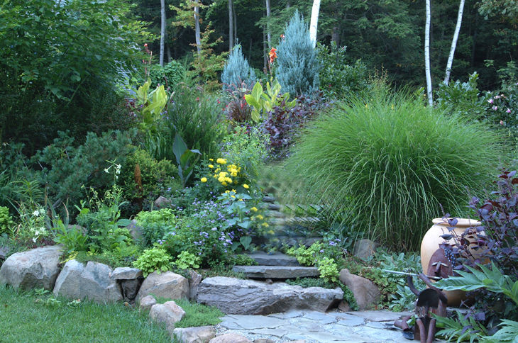 Creating a Low-Maintenance Garden - Fine Gardening