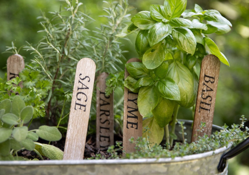 How to Grow Lots of Herbs in a Small Space • Gardenary